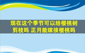 现在这个季节可以给樱桃树剪枝吗 正月能嫁接樱桃吗